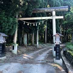 写真