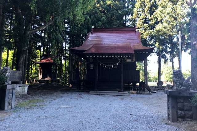 写真