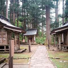 投稿日:2021年5月16日 写真