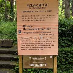 投稿日:2019年10月26日 写真