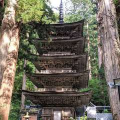 投稿日:2019年10月26日 写真