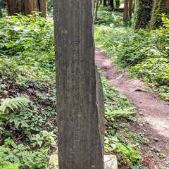 投稿日:2019年10月26日 写真