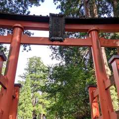 投稿日:2019年10月28日 写真