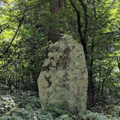 投稿日:2019年10月26日 写真
