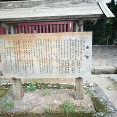 投稿日:2021年5月17日 写真