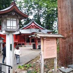 投稿日:2021年5月19日 写真