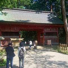 投稿日:2019年9月15日 写真