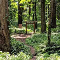 投稿日:2019年10月27日 写真