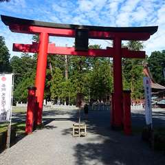 投稿日:2019年9月15日 写真