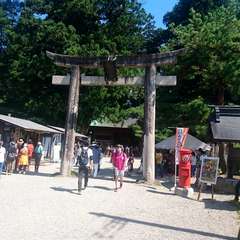 投稿日:2019年9月15日 写真