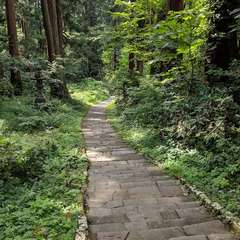 投稿日:2019年10月28日 写真