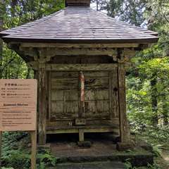 投稿日:2019年10月27日 写真