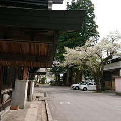 投稿日:2018年5月1日 写真