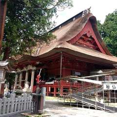 投稿日:2019年7月14日 写真