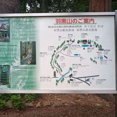 投稿日:2021年5月19日 写真