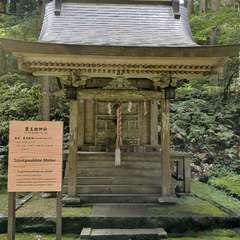 投稿日:2019年10月27日 写真