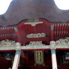 投稿日:2025年7月29日 写真