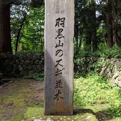 投稿日:2019年10月26日 写真