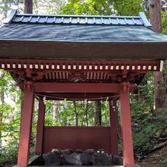 投稿日:2019年10月28日 写真