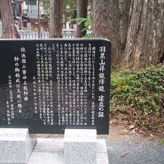 投稿日:2021年5月19日 写真