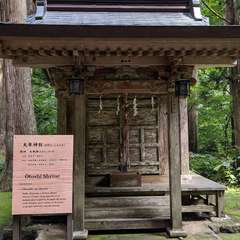 投稿日:2019年10月27日 写真