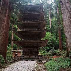 投稿日:2021年5月16日 写真