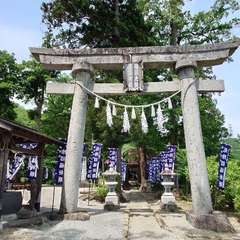 写真