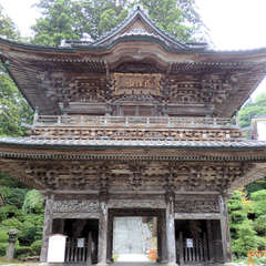 投稿日:2019年9月24日 写真