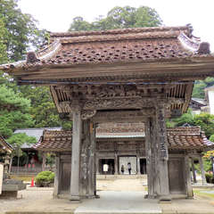 投稿日:2019年9月24日 写真