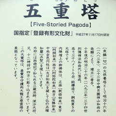 投稿日:2019年9月24日 写真