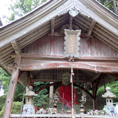 投稿日:2019年9月24日 写真