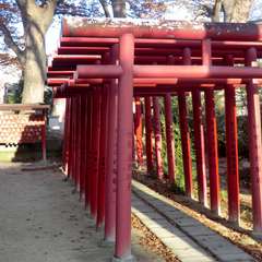 投稿日:2015年11月15日 写真