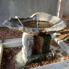 投稿日:2015年11月15日 写真