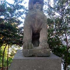 投稿日:2015年11月15日 写真