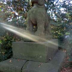 投稿日:2015年11月15日 写真