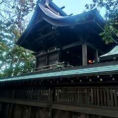 写真