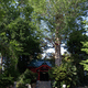 愛宕神社