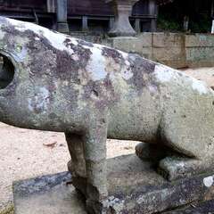 はじめの狛犬(投稿日:2025年2月11日) 写真