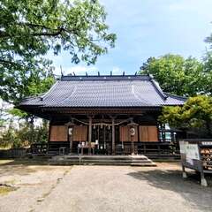 写真