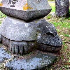 宗像神社(投稿日:2025年7月30日) 写真