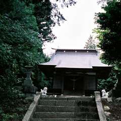 綿津見神社(投稿日:2025年8月3日) 写真