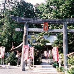 男山八幡神社(投稿日:2025年8月3日) 写真