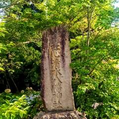 投稿日:2025年9月9日 写真