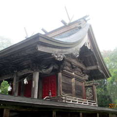 投稿日:2025年7月6日 写真