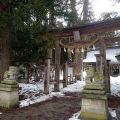 投稿日:2022年2月17日 写真