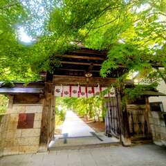 投稿日:2025年9月9日 写真