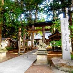 投稿日:2025年9月9日 写真