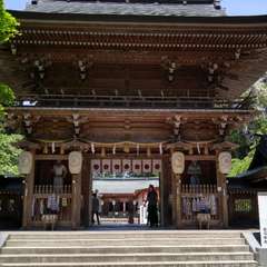 投稿日:2017年5月21日 写真