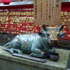 投稿日:2017年5月21日 写真