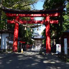 投稿日:2016年11月22日 写真